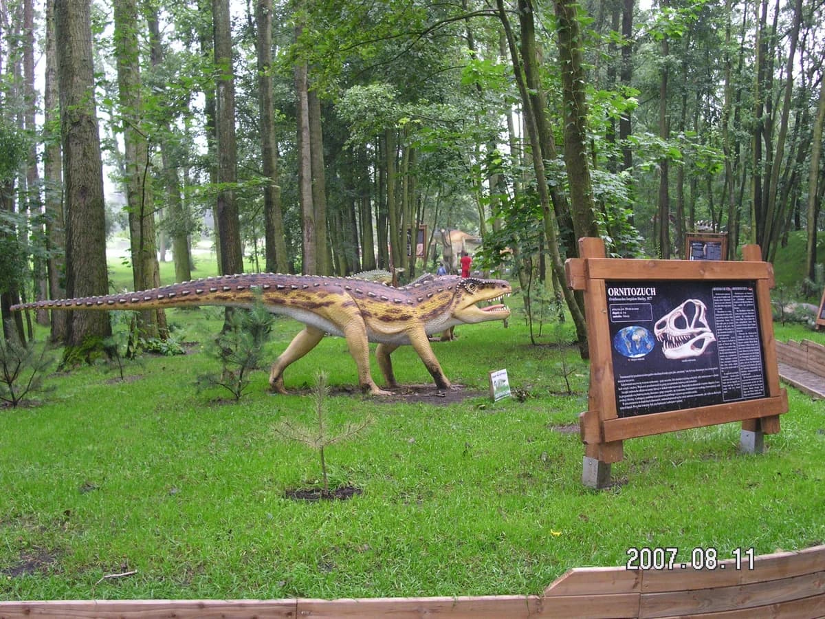 Zaurolandia zdjęcie
