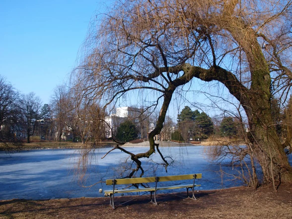 Park Ujazdowski zdjęcie
