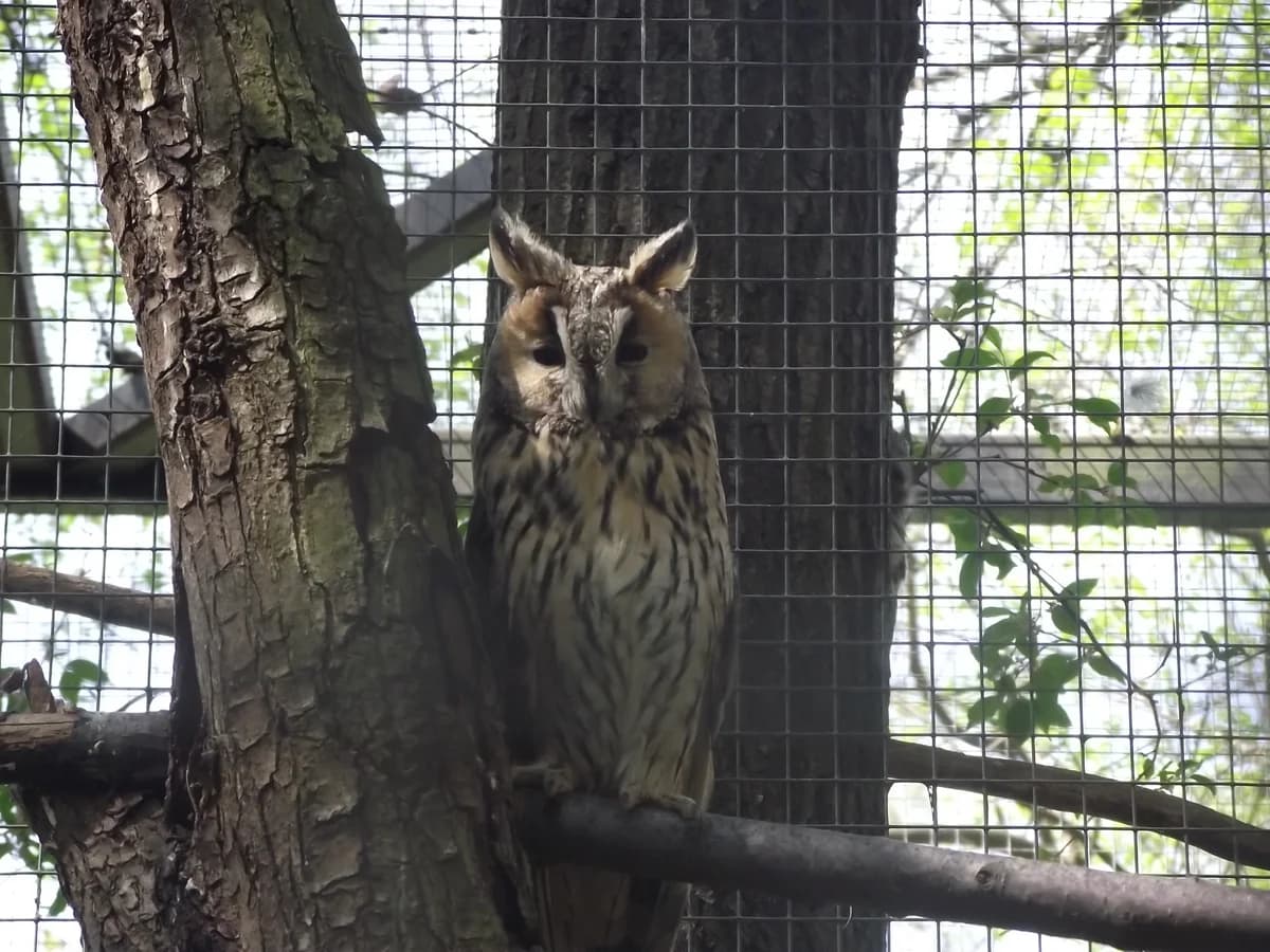 Orientarium ZOO Łódź zdjęcie