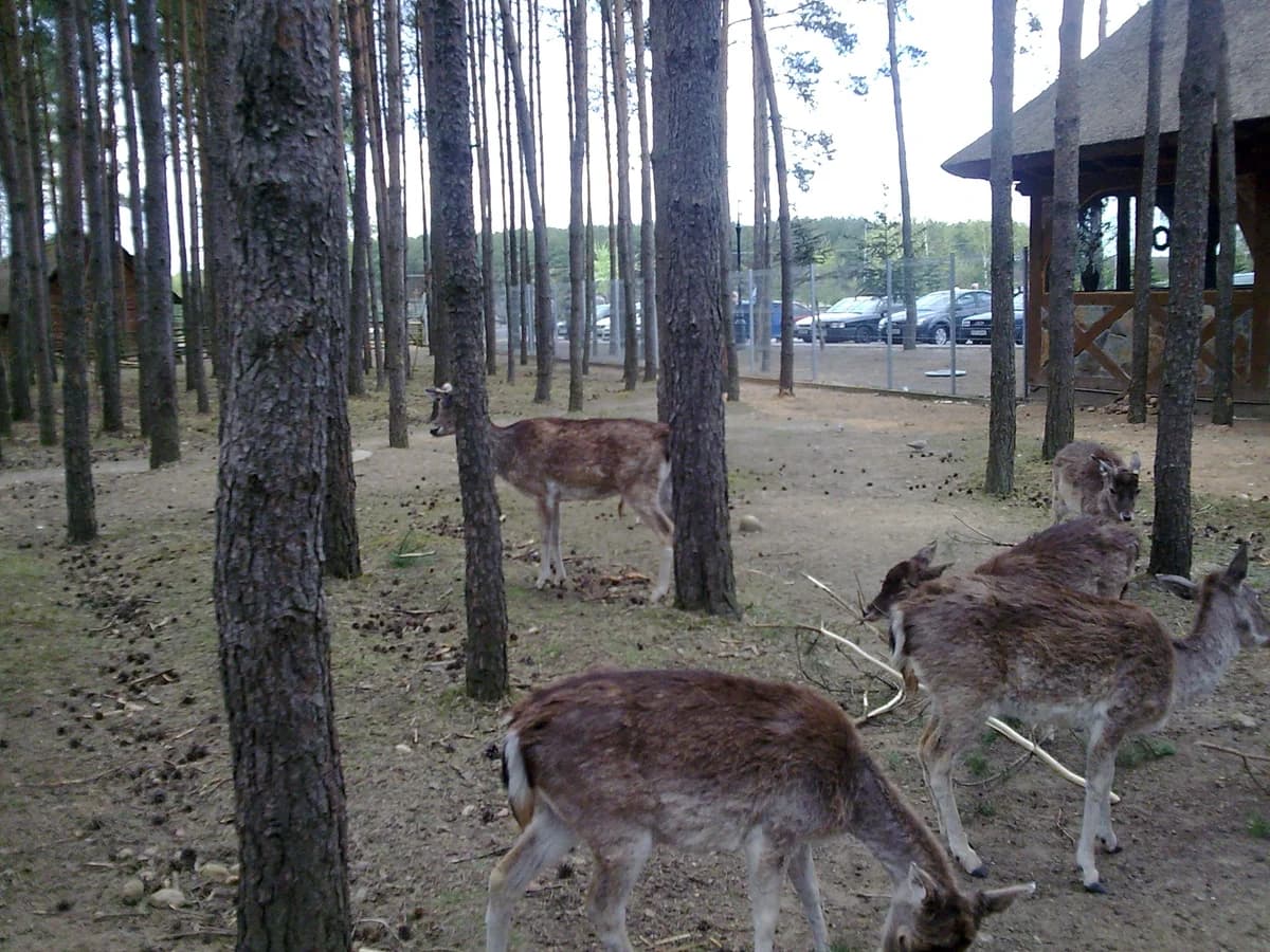 ZOO Canpol