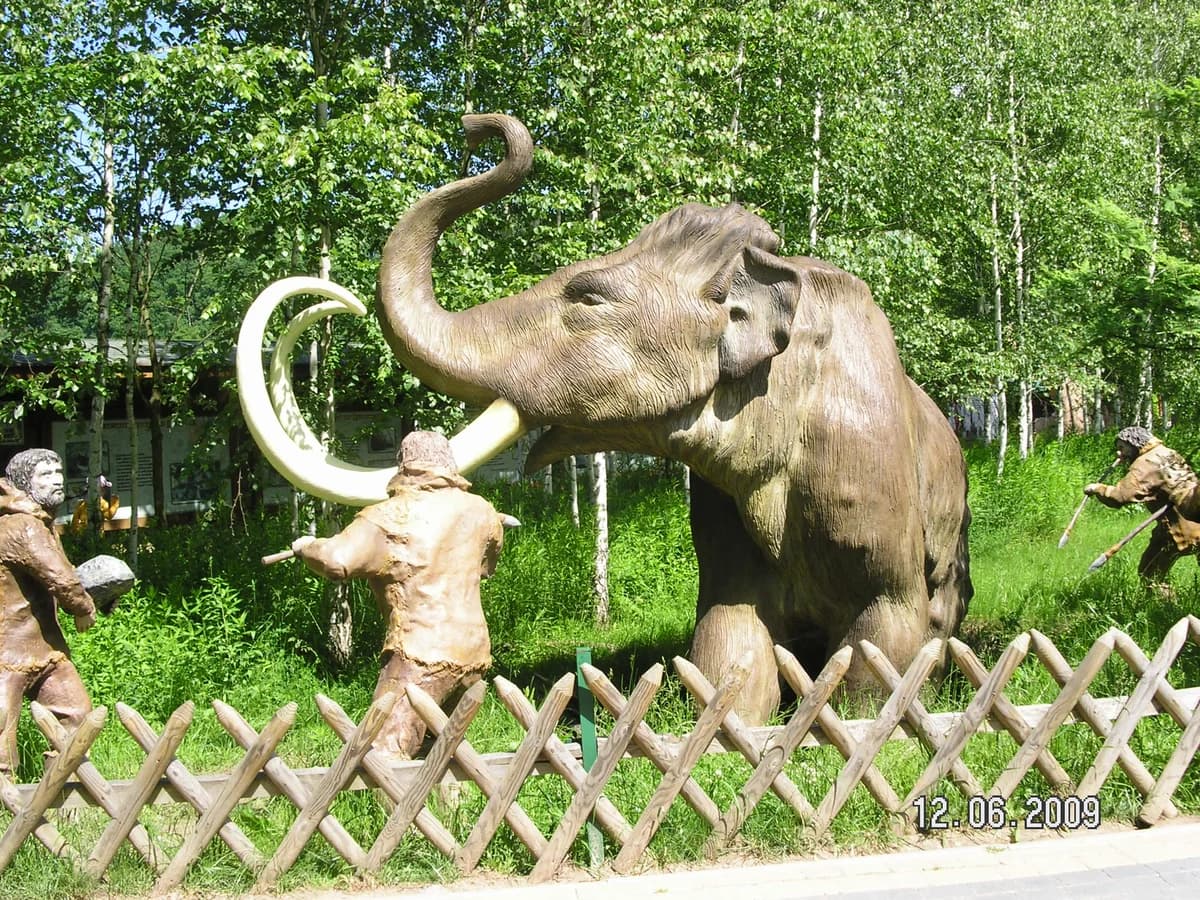 JuraPark Bałtów zdjęcie