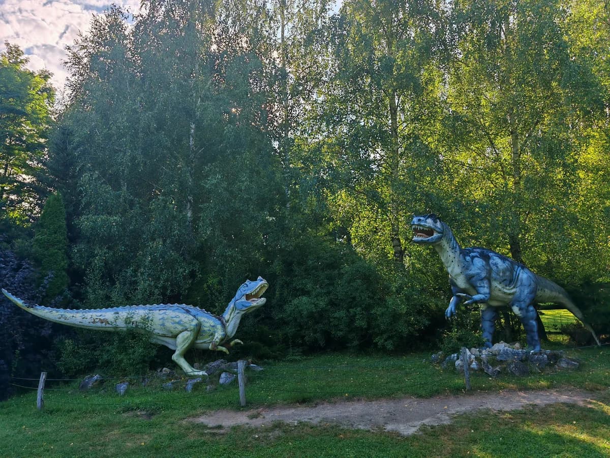 Ogród Zoologiczny Leśne Zacisze zdjęcie