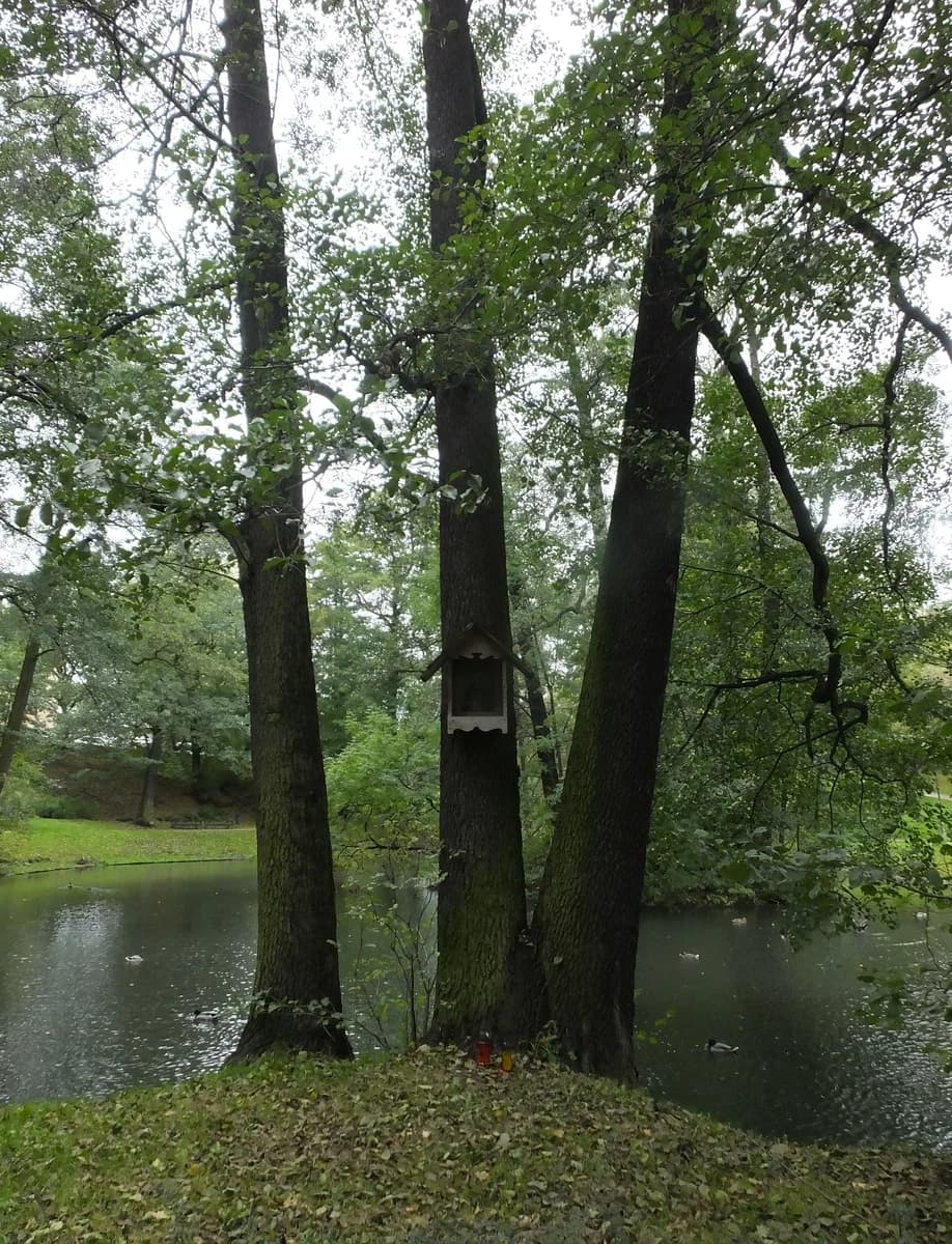 Park Stawy Kellera zdjęcie