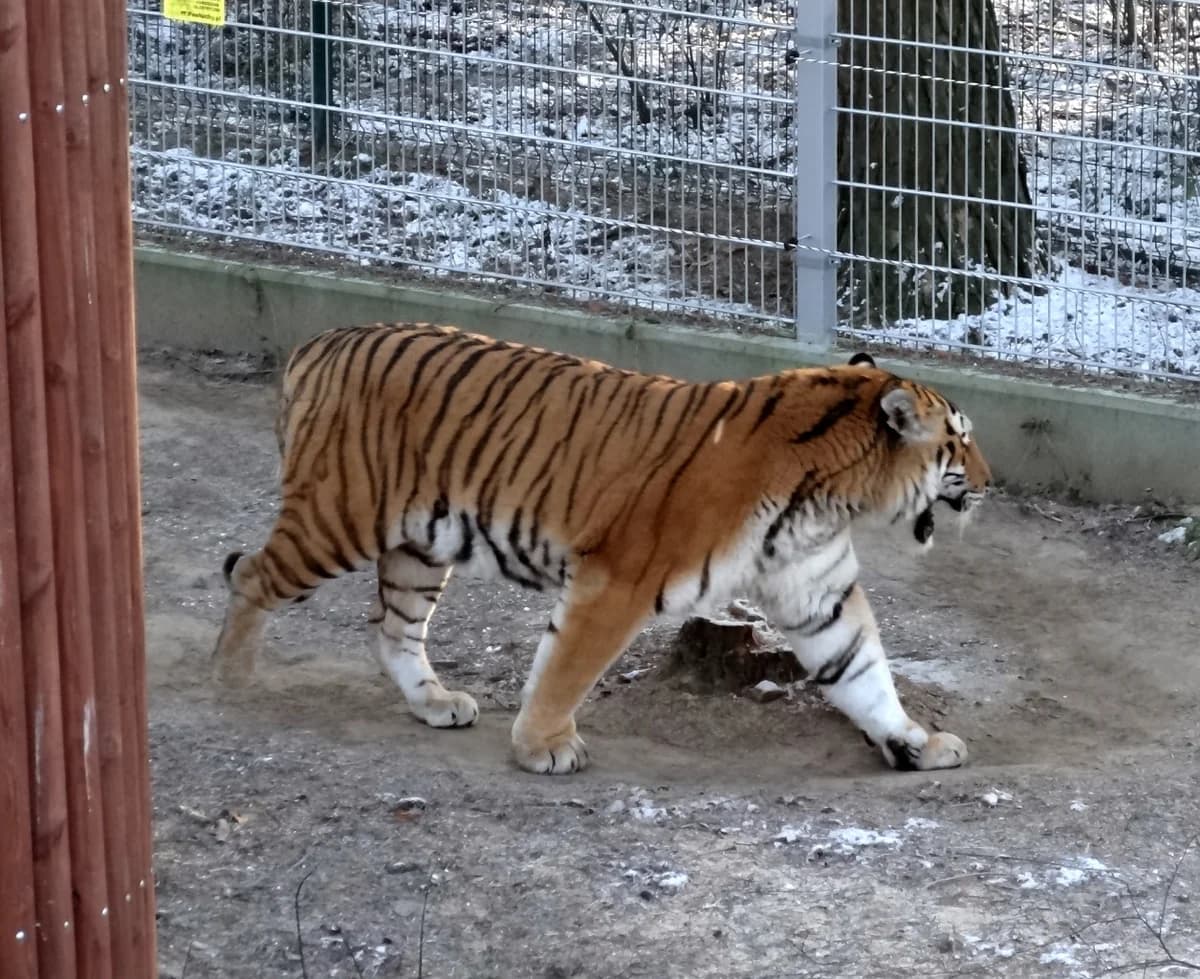 Ogród Zoologiczny w Bydgoszczy