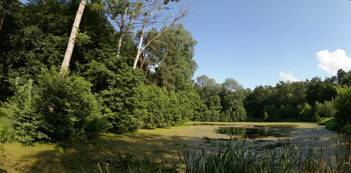 Park rekreacyjny