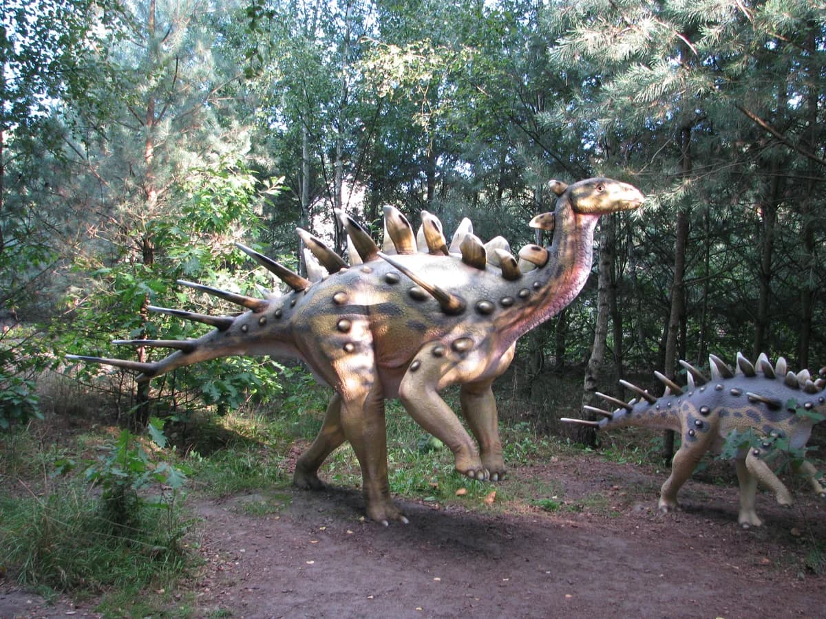 Park Dinozaurów Nowiny Wielkie zdjęcie