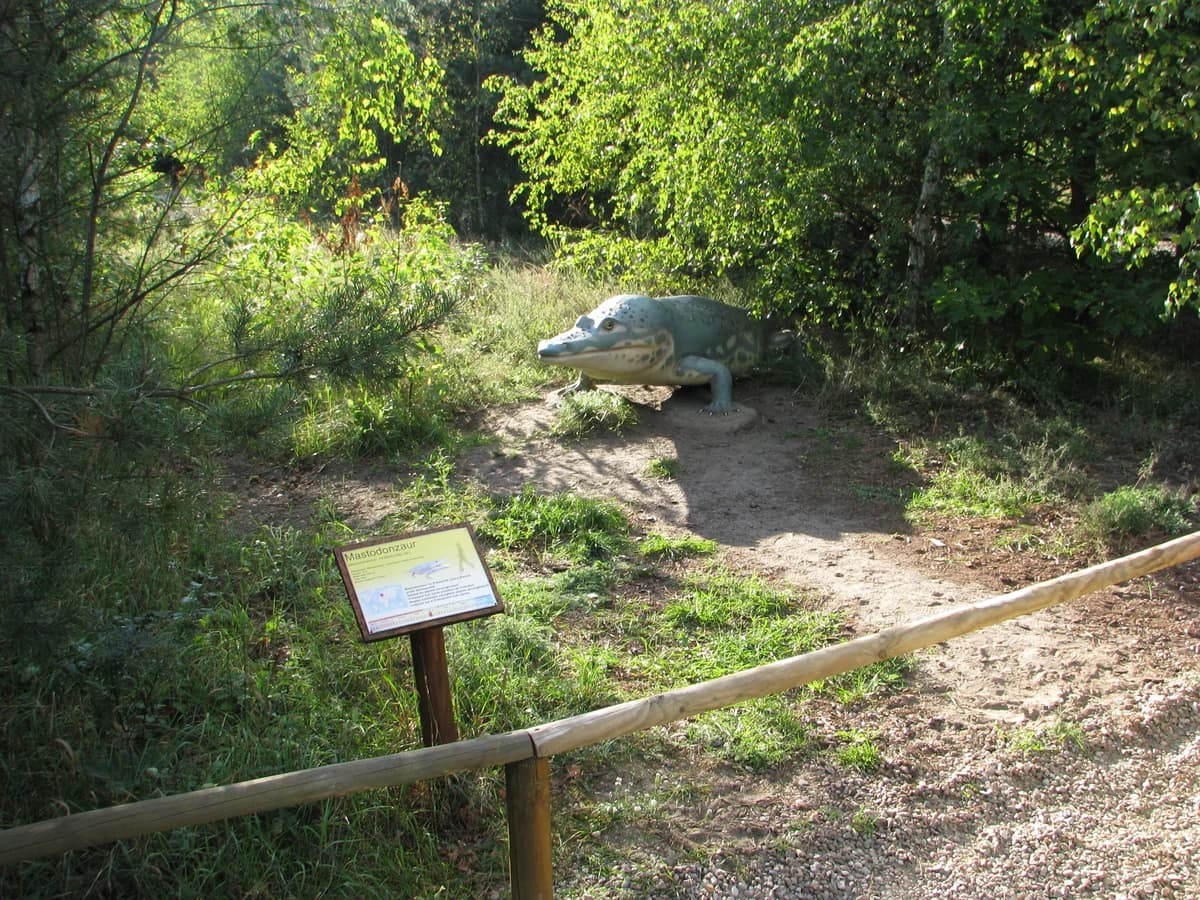 Park Dinozaurów Nowiny Wielkie zdjęcie