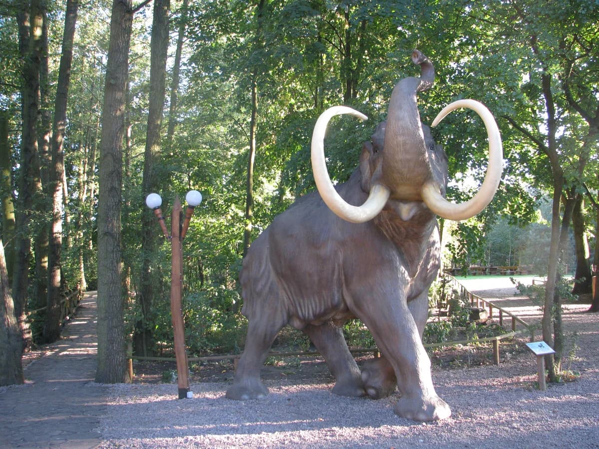 Park Dinozaurów Nowiny Wielkie zdjęcie