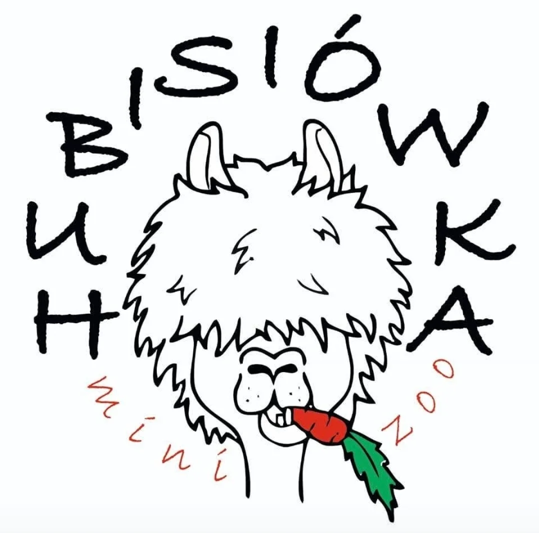 Hubisiówka
