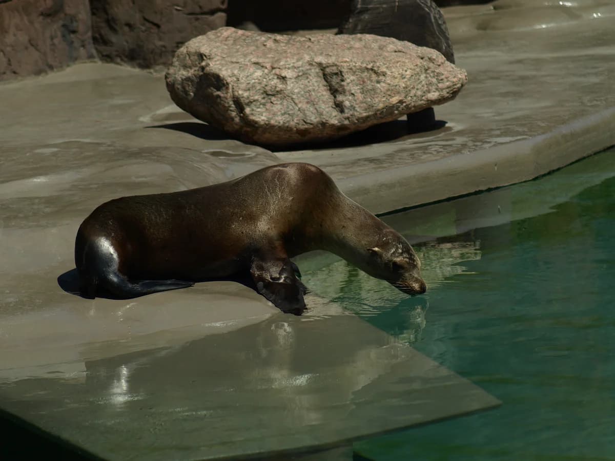 ZOO w Opolu zdjęcie