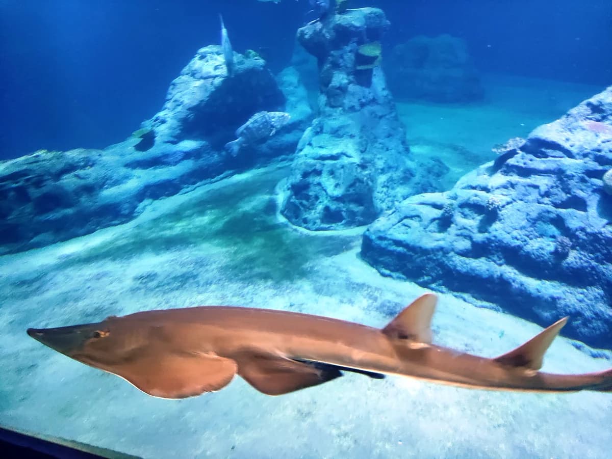ZOO we Wrocławiu zdjęcie